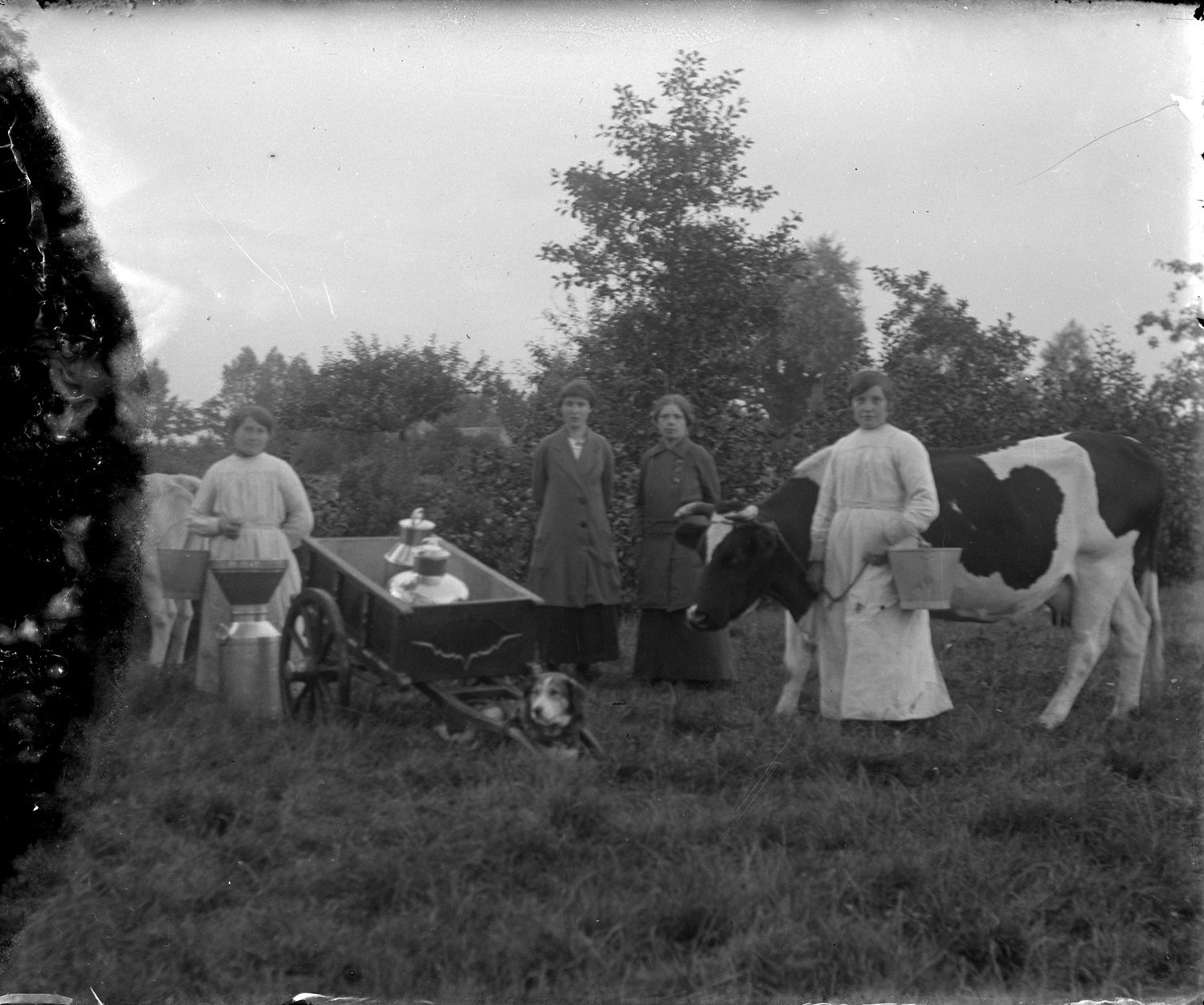 Vrouwen, koeien en een hond - foto Peer van Boxtel/Huub de Bont wsl. Goirle