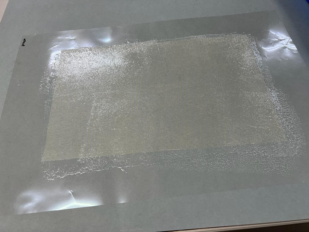 Remoistenable tissue - foto Marlies Verhoosel