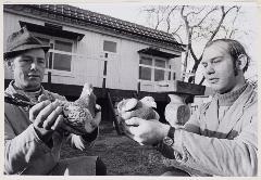 Duivensport, Oosterhout.1972 100651