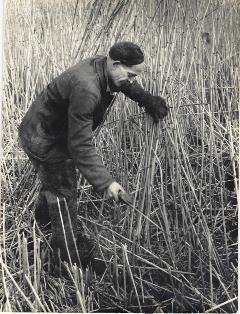 Griendwerker1 Griendwerker 1961
