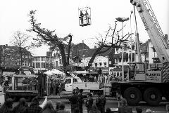 Kap lindeboom 1994, Foto: J. Wever Kap lindeboom 1994, Foto: J. Wever