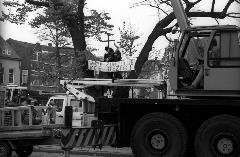 Kap lindeboom 1994, Foto: J. Wever Kap lindeboom 1994, Foto: J. Wever