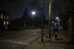 Hond uitlaten tijdens avondklok. Foto: Maria van der Heyden (17280766).