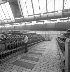 Kamgarenspinnerij Swagemakers-Bogaerts, Jac. van Vollenhovenstraat. Foto Wil van Dusseldorp