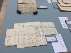 processtukken uit archief 14, schepenbank Tilburg en Goirle