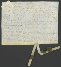 rennendcharter-tilburg-1715 rennendcharter-tilburg-1715