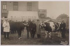 Veemarkt achter het slachthuis. Met luifel van Van Geloven. Fotograaf: Schmidlin. Fotonummer: 040769.